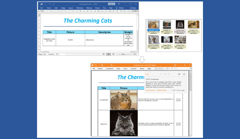 SautinSoft Document .Net Crack